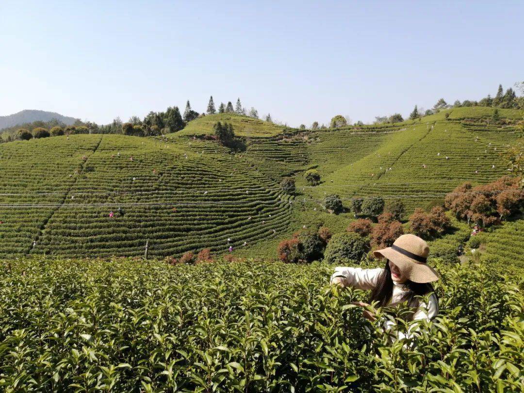 灭茶苦茶什么意思_灭茶苦茶日语_灭茶苦茶