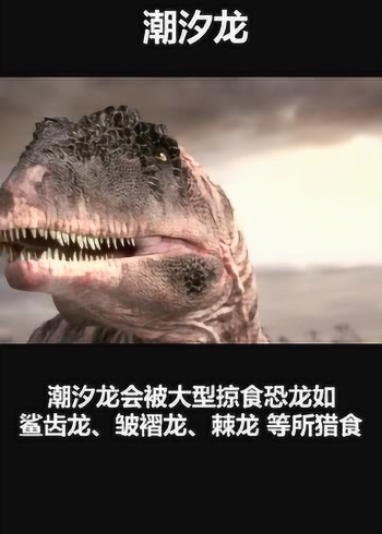 横款游戏_横提体手机游戏_横版游戏大全