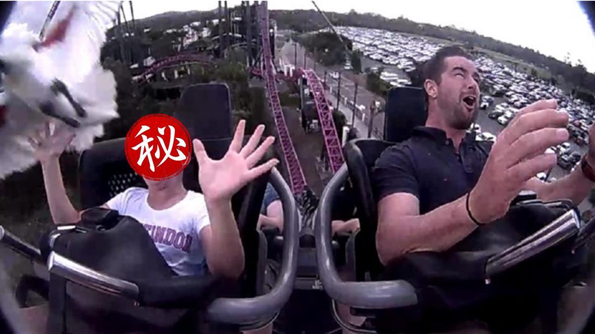 手机版过山车_过山车拿手机游戏_手机游戏过山车