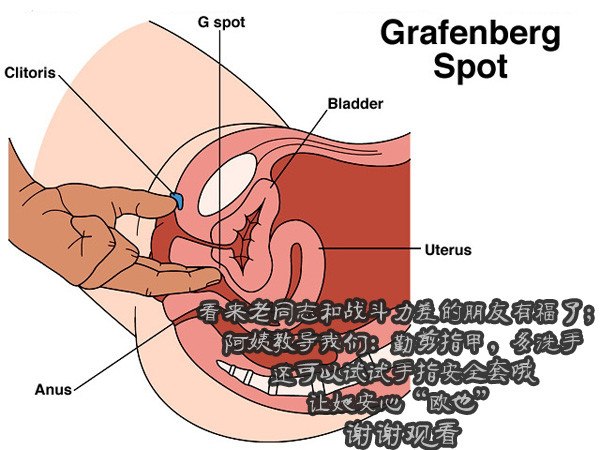 休闲手机游戏_有什么休闲的手机游戏_休闲手机游戏有什么