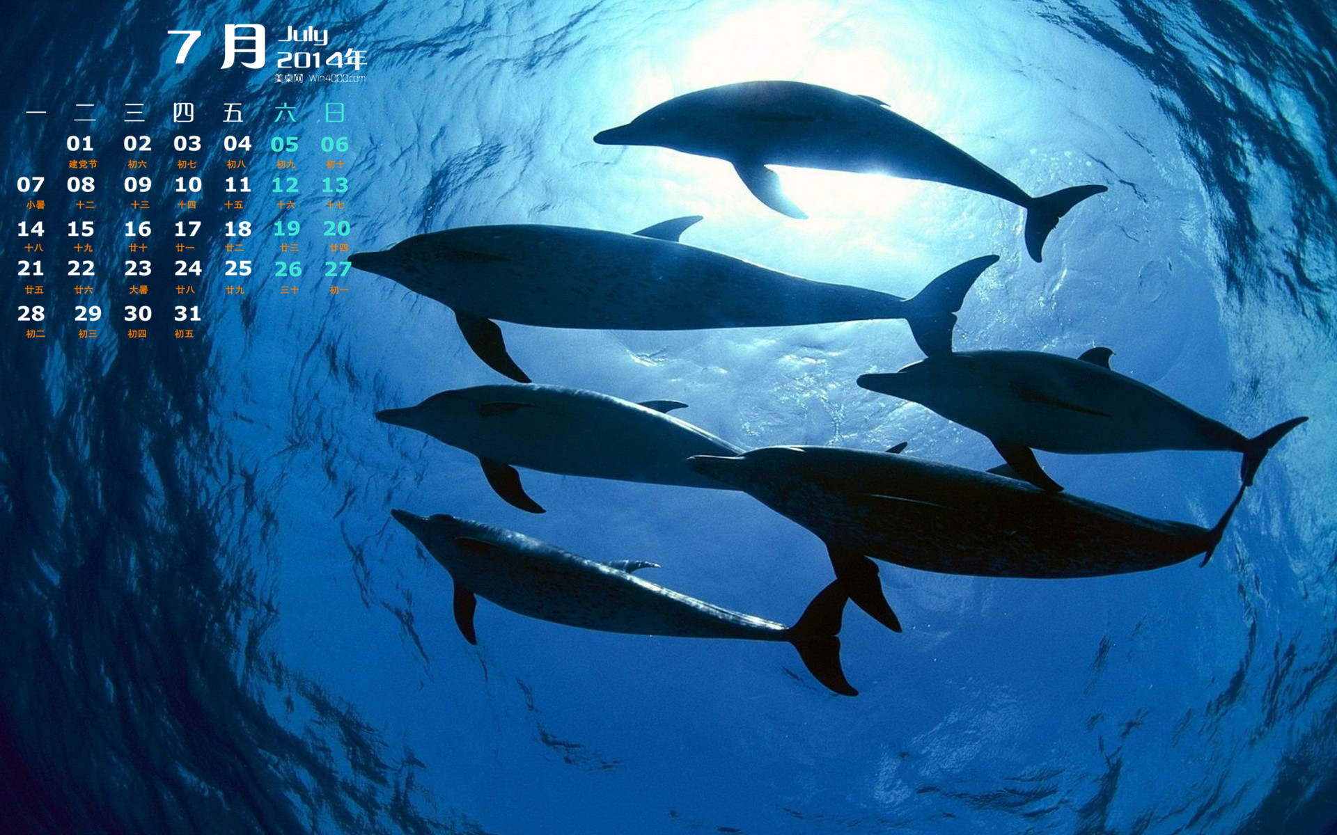 海洋类游戏排行_海洋系列游戏手机_海洋类手游