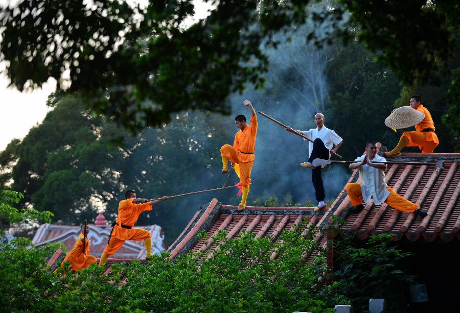 武僧一龙_武僧和和尚的区别_武僧