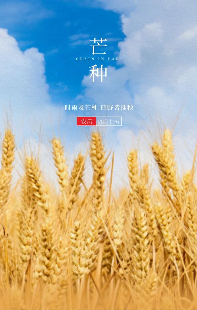 十日十日打一字_十日草不得生_十日草辅