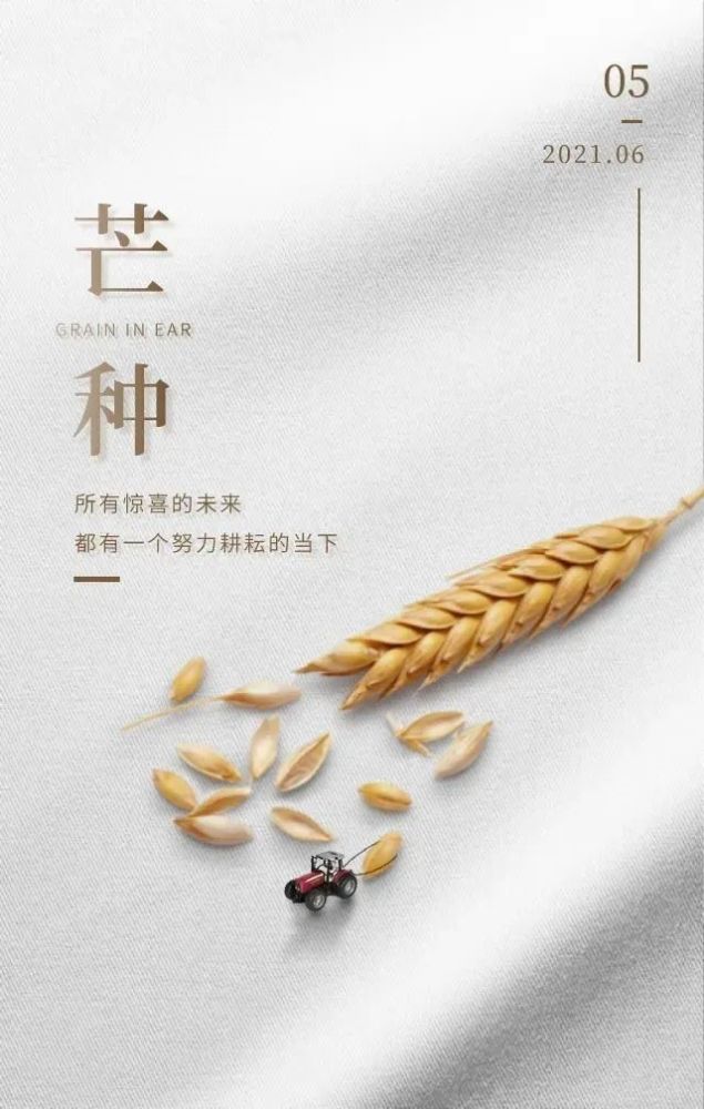 十日草不得生_十日十日打一字_十日草辅
