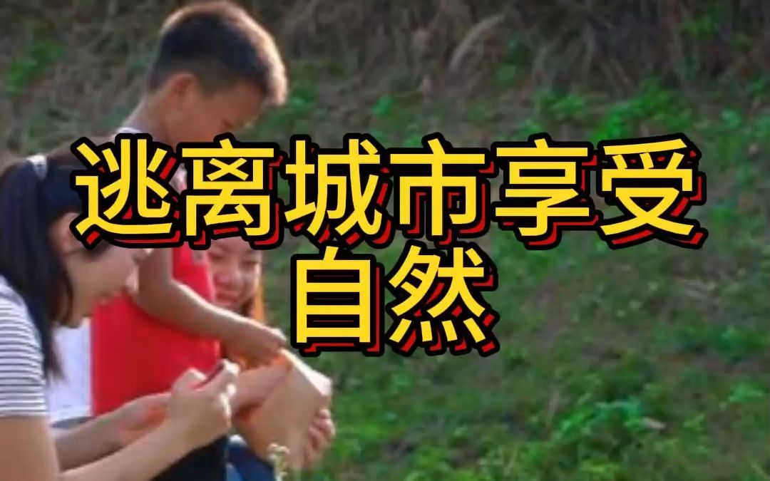 51放假2022_放假2022年日历_放假2022年放假时间