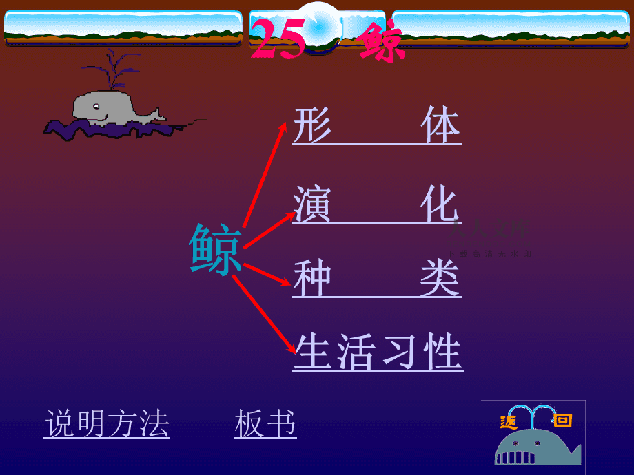 鲸教学课件_鲸课件游戏手机_鲸鱼课件