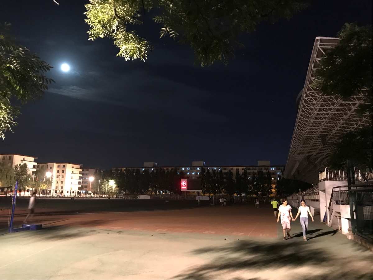 月光传说_月光传说歌曲_月光传说罗马音