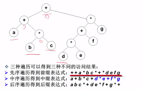 树二叉树转换_java二叉树_树二叉树森林