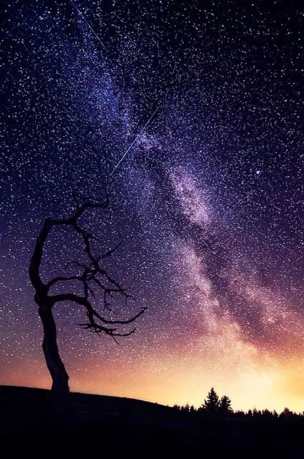 苹果颜色太过于鲜艳了_苹果颜色的先后顺序_苹果13哪个颜色最火
