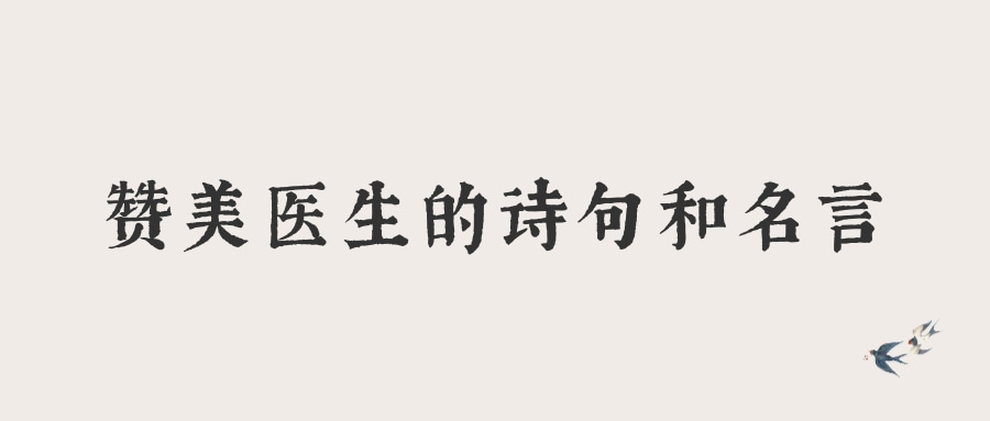明日方舟诗怀雅泳装_明日方舟诗怀雅_明日方舟诗怀雅值得练么