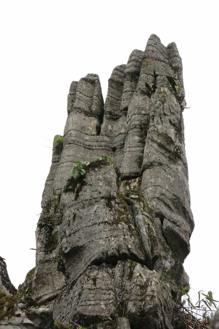云南石林手机游戏_云南石林好玩不_云南石林百度百科