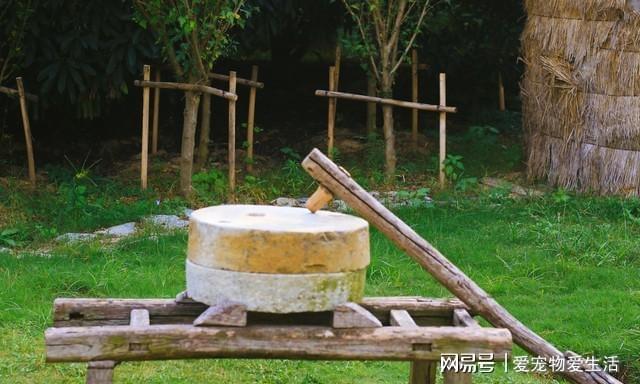 辘轳女人和井下载_辘轳_辘轳女人和井