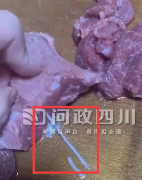 寄生虫在线观看_寄生虫免费观看_寄生虫在线看