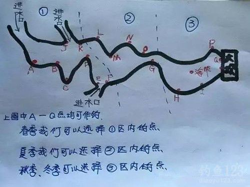 科学钓鱼手机游戏教案_科学课钓鱼教案_科学钓鱼i