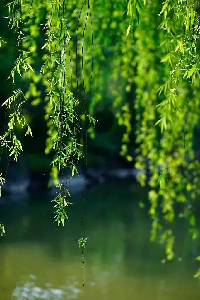 松永某_松永燕_松永
