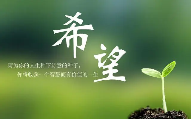 青春激情,成长蜕变,彼岸双生共绽光芒 青春激情,成长蜕变,彼岸双生共绽光芒