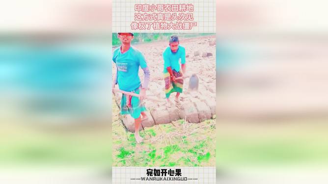 农民趣味游戏_农民手机变成农具的游戏_农民道具