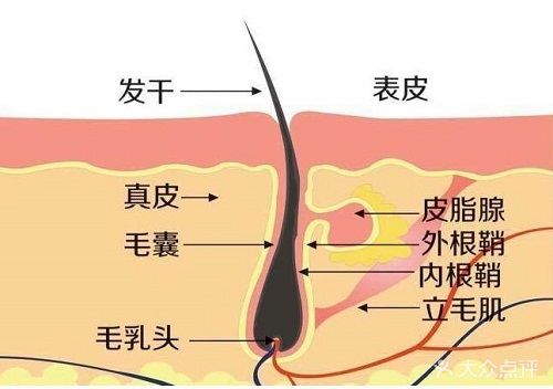 狞猫_狞猫_狞猫