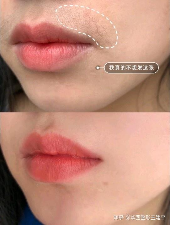 狞猫_狞猫_狞猫
