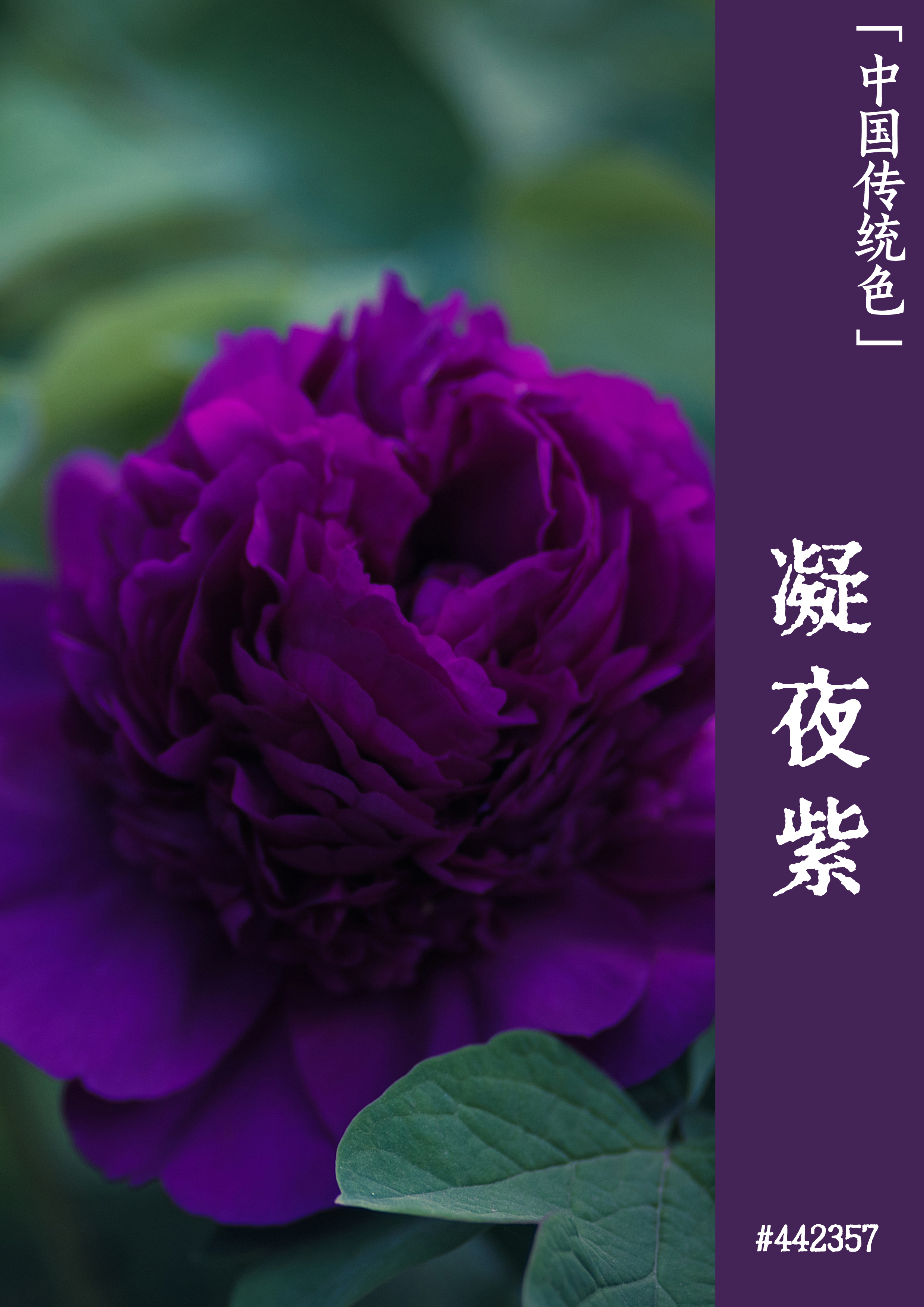 几何教程画板使用方法视频_几何画板使用教程_几何画板的使用教程视频
