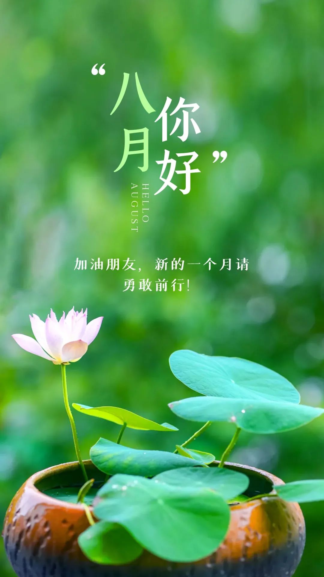 家具活动主题名称大全_活动主题名称大全_八一活动主题名称大全
