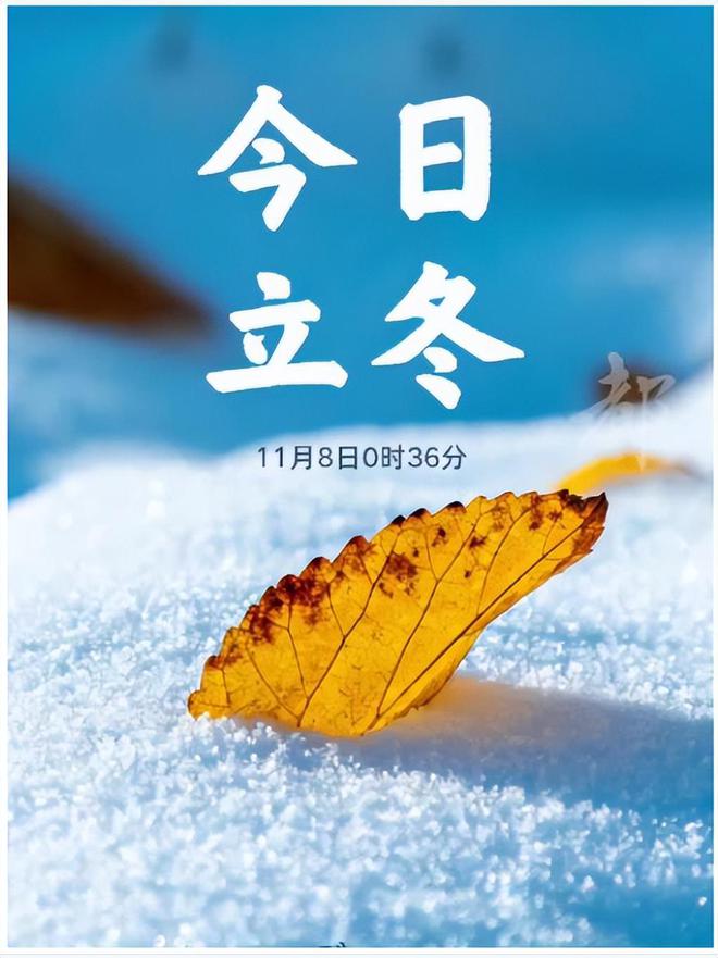 冬至立冬哪个吃饺子_立冬和冬至_冬至立冬小寒大雪应该怎么排序
