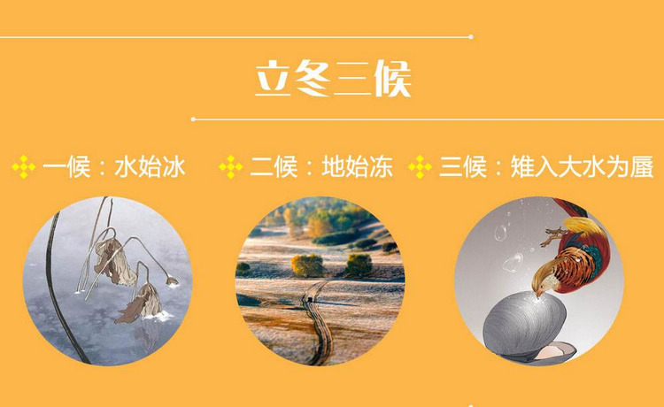 立冬和冬至_冬至立冬哪个吃饺子_冬至立冬小寒大雪应该怎么排序