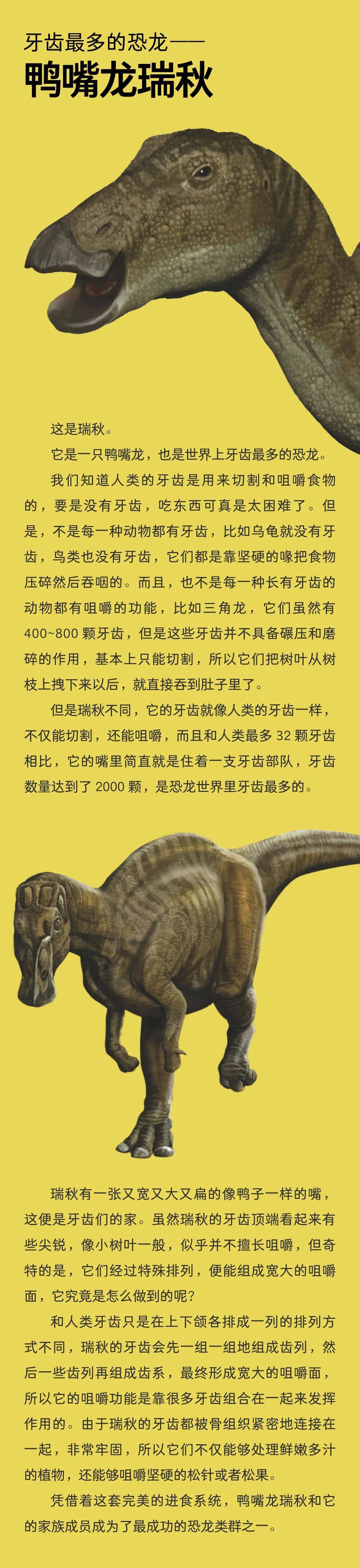 恐龙牙齿手机游戏_恐龙牙齿iphone5_恐龙按牙齿的游戏玩具