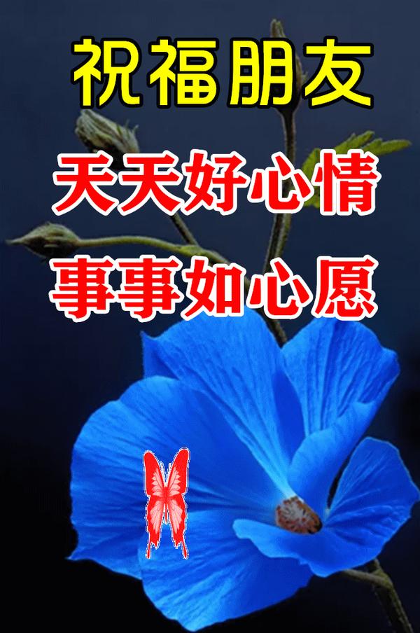 探寻羽田璃子：魅力女演员的温柔与智慧，绽放如鲜花的生命故事