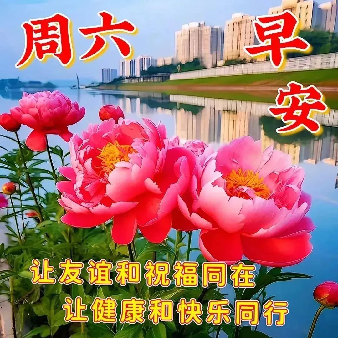 藤村俊二_藤村_藤村大河