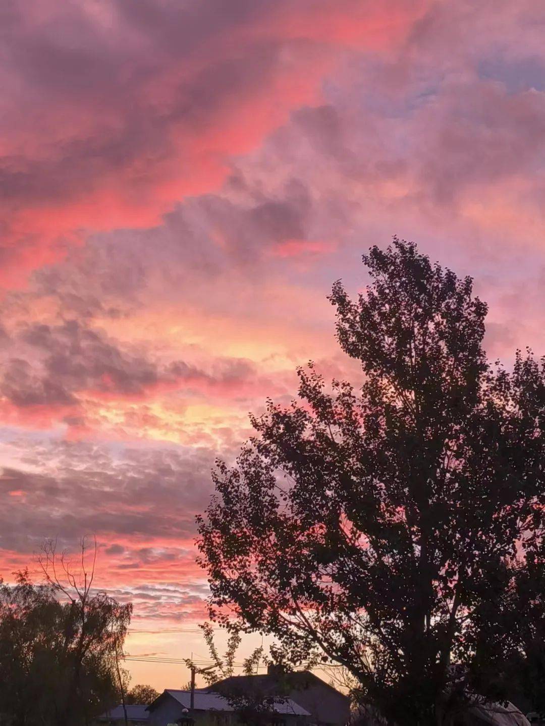 游戏山水原画_山水画风的游戏_怎样用手机玩山水画的游戏