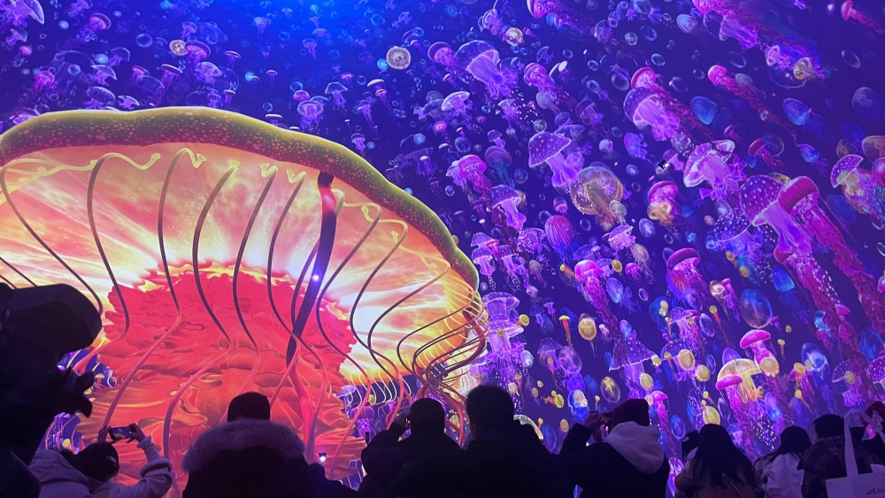 游戏山水原画_山水画风的游戏_怎样用手机玩山水画的游戏