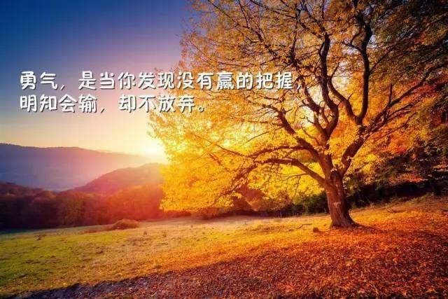 愿原力与你同在梗_愿原力与你同在_愿原力与你我同在