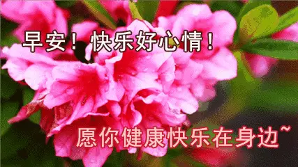 好体知_好体知_好体知