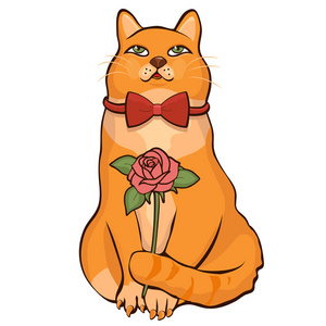 尾猫微博_猫尾巴游戏_猫尾社手机游戏