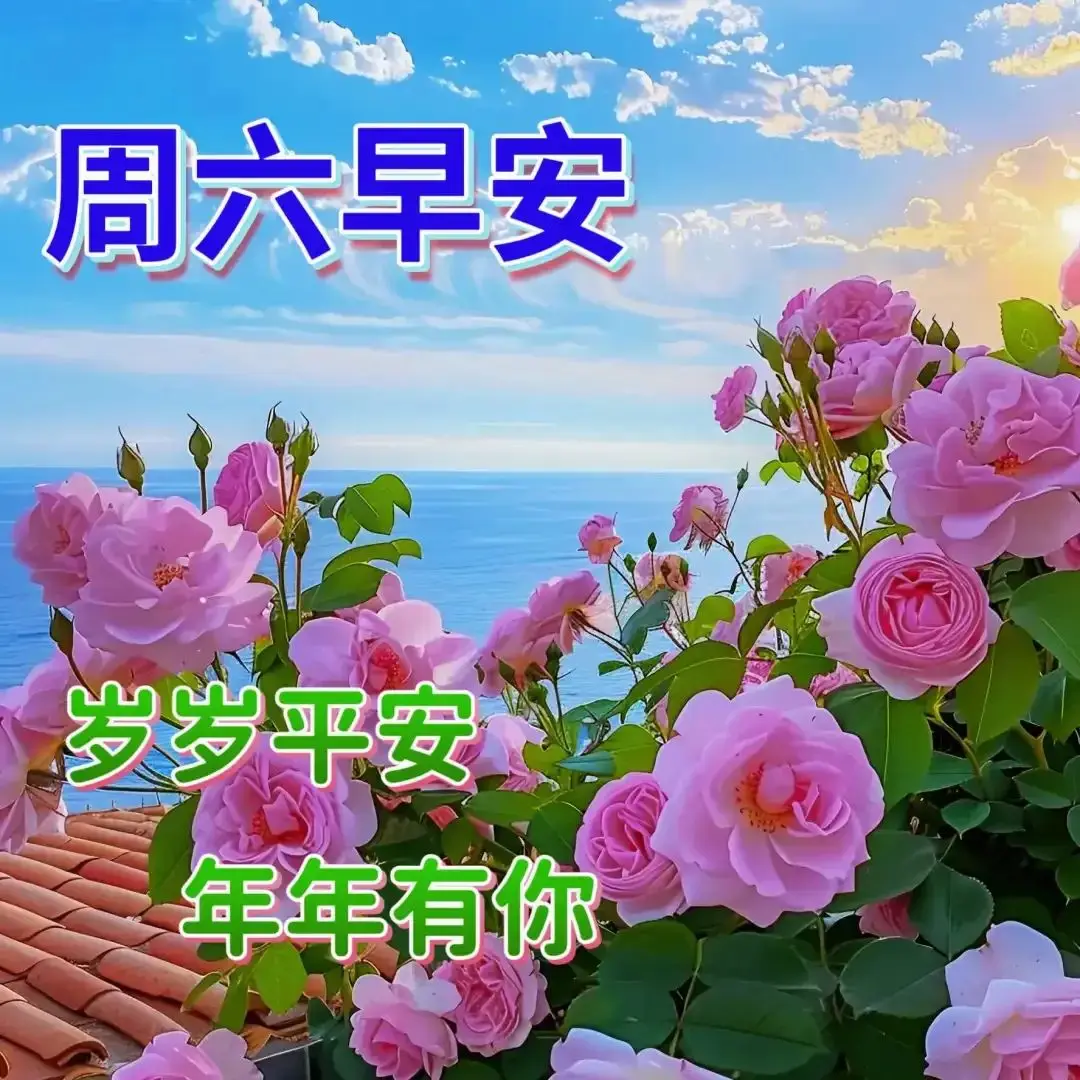 早鸟_早鸟票是啥意思_早鸟app买票