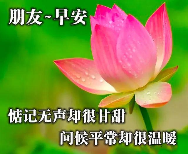 正月是指哪个月_正月搬家好不好_正月十二