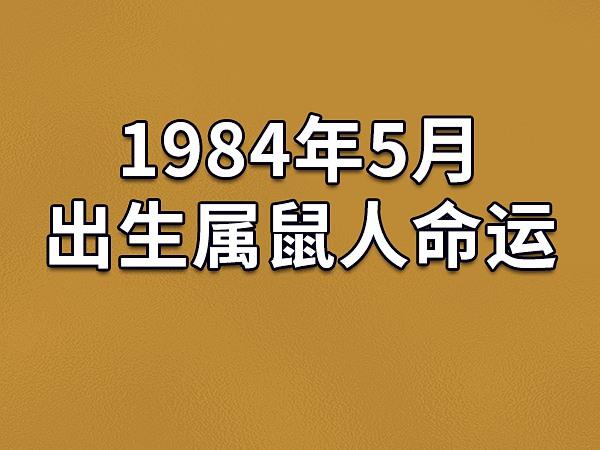 1984年属鼠是命还是金命_1984年属鼠是什么命_1984鼠的是什么命