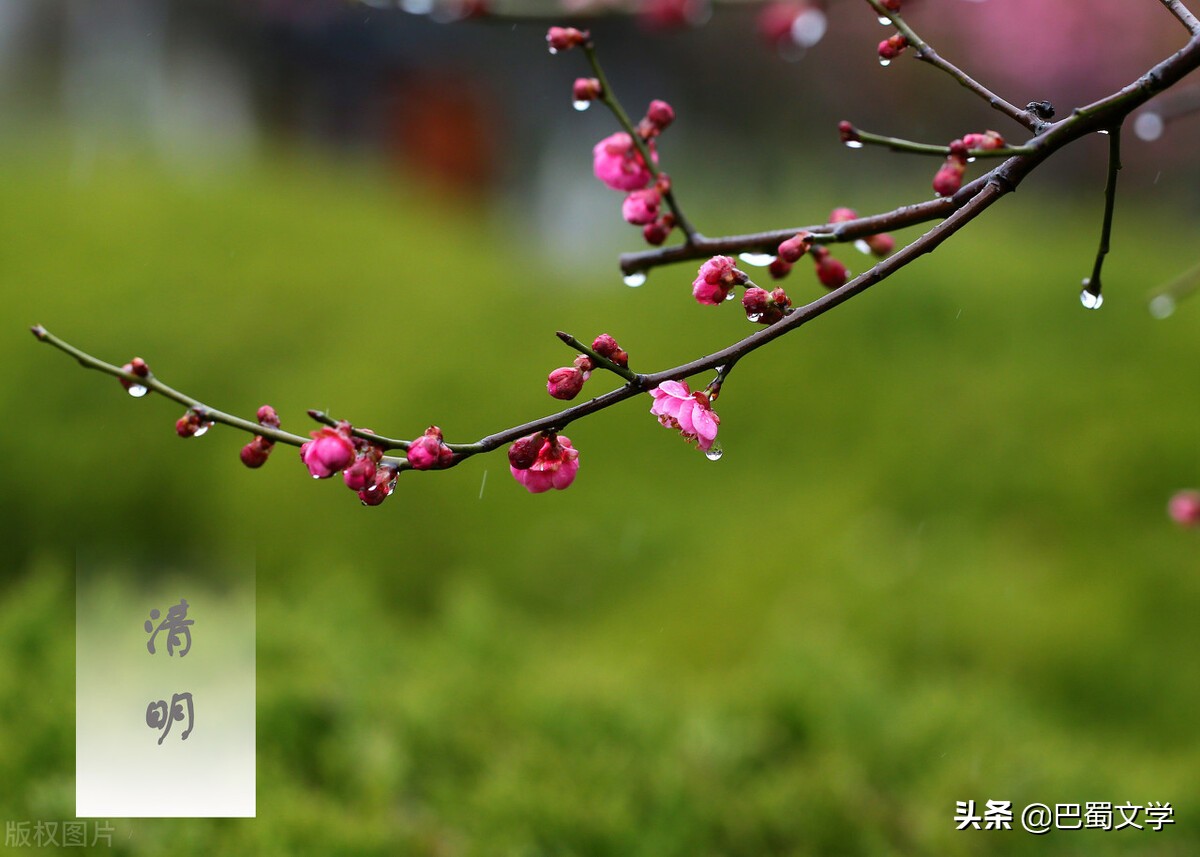 惊鹊_惊鹊歌词_惊鹊歌曲