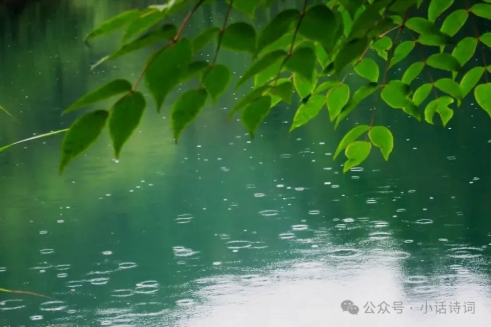 惊鹊歌词_惊鹊歌曲_惊鹊