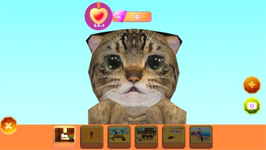 猫咪养成的游戏_猫咪养成游戏手机_猫咪养成手机游戏大全