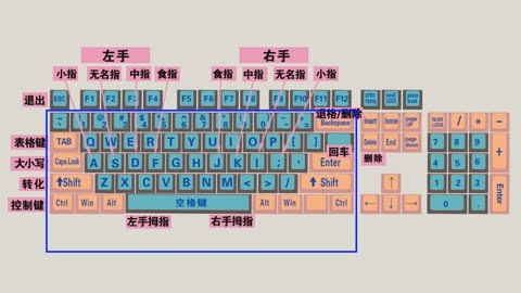键盘练打字指法零基础软件_打字练键盘指法基础软件下载_打字练键盘指法基础软件有哪些