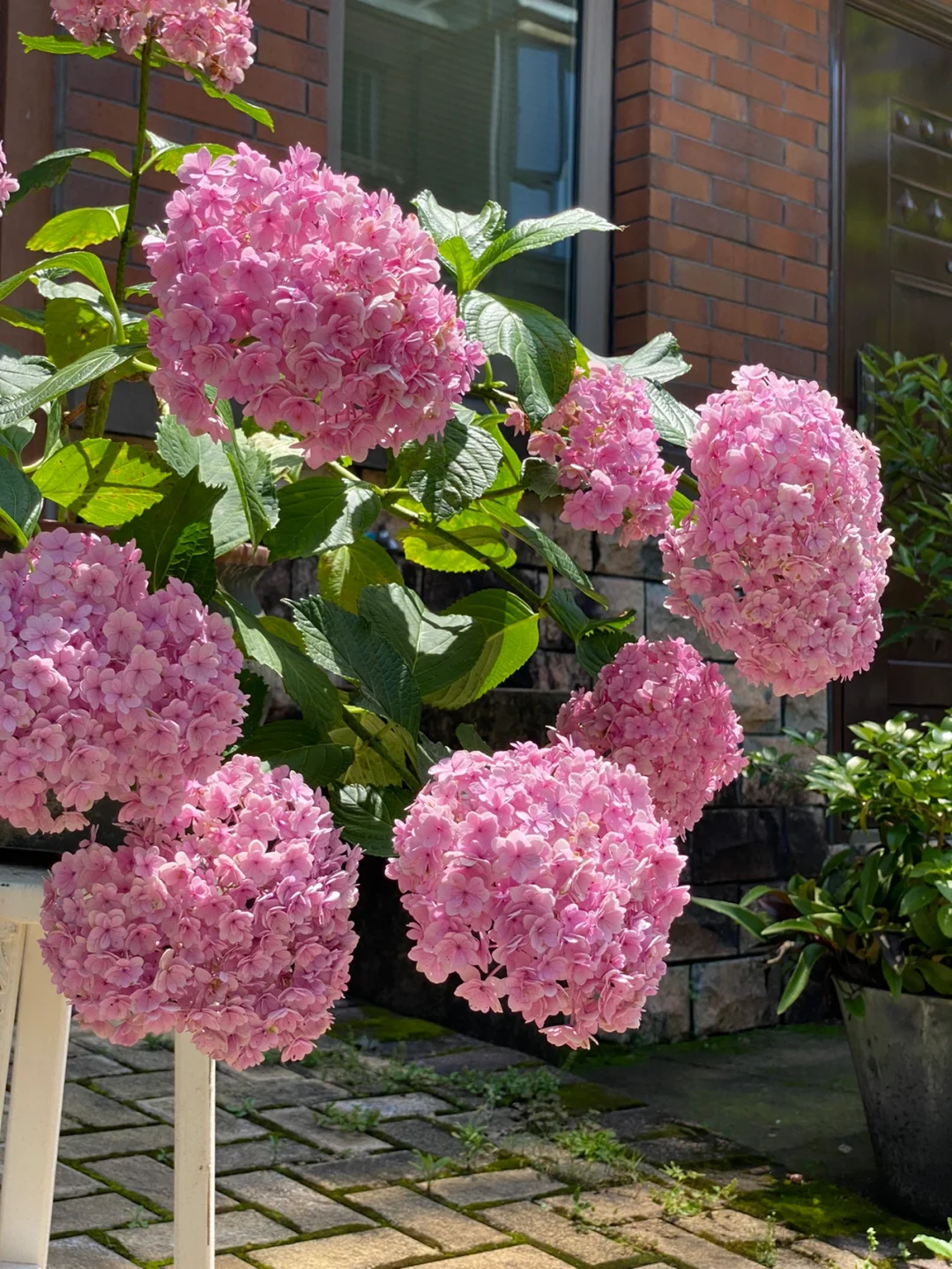 花虫手机游戏_花虫游戏安卓_花虫游戏攻略