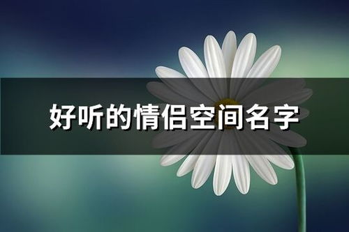 情侣空间网名