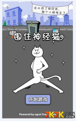 围住神经猫