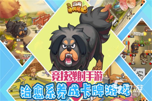 我坦克玩的贼6 