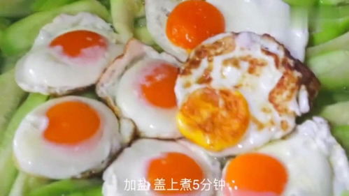 丝瓜小说 