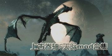 上古卷轴：刀锋 