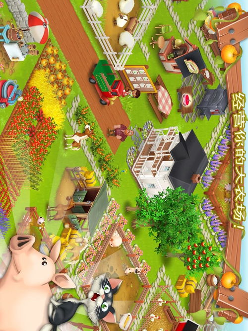 hayday卡通农场安卓版下载 