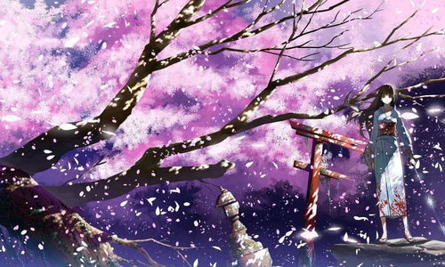 樱花动漫最新版 